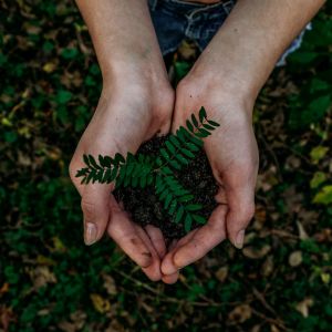 Groene bewakingsbeelden